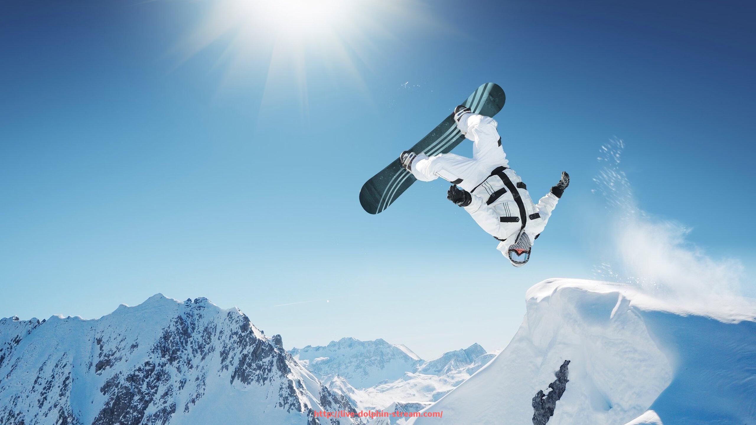 海豚直播-勇士队与火箭队激烈对决视频与赛事点评