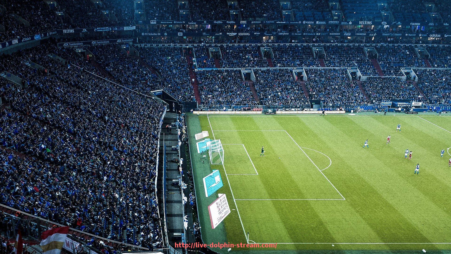 海豚直播-合同条款优化建议:世俱杯赛事赞助协议完善方案