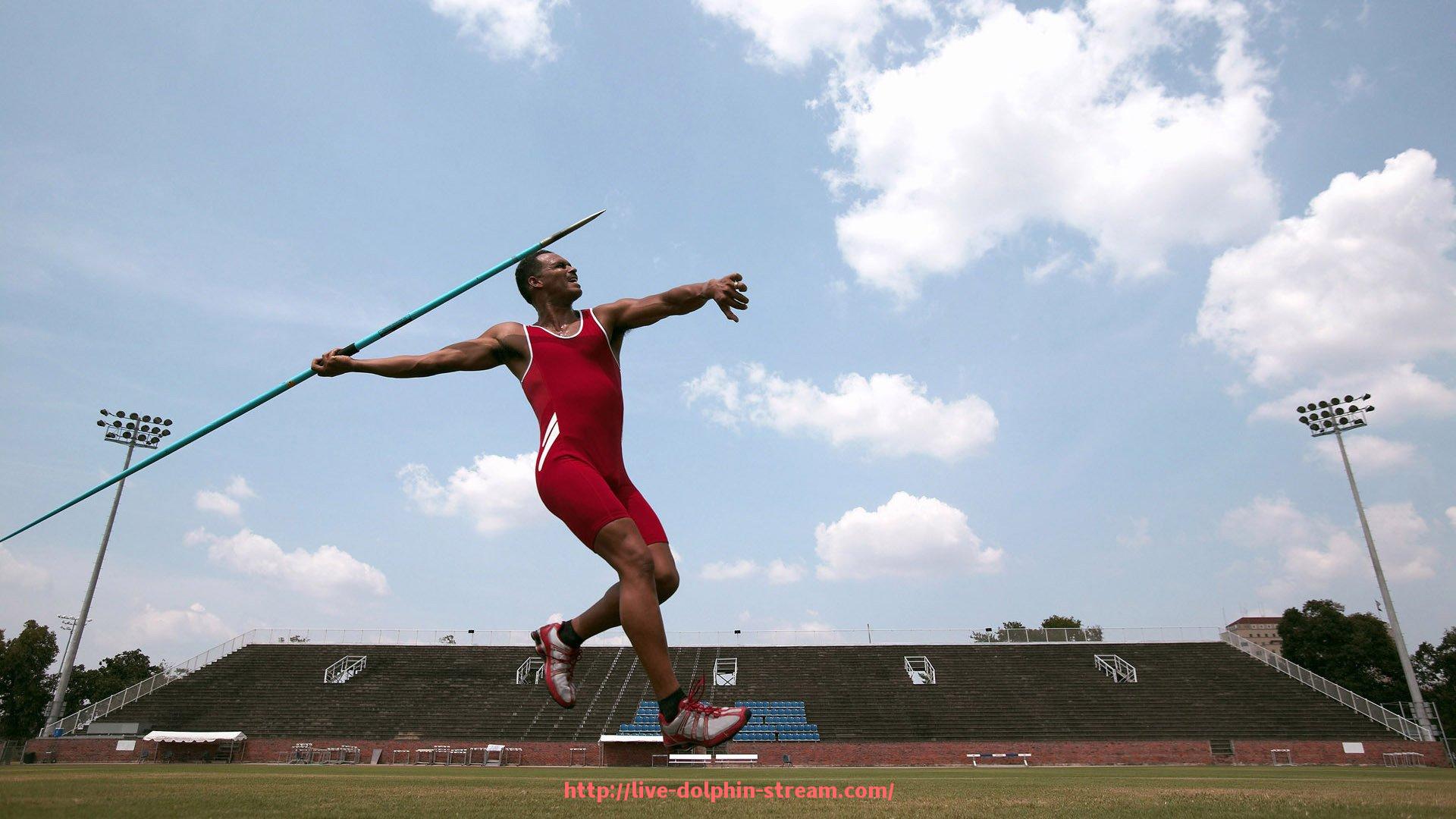海豚直播-曼城世俱杯与欧冠的主要区别及赛事定位比较分析