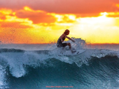 海豚直播-探秘CBA宝岛球员的训练秘诀与比赛表现