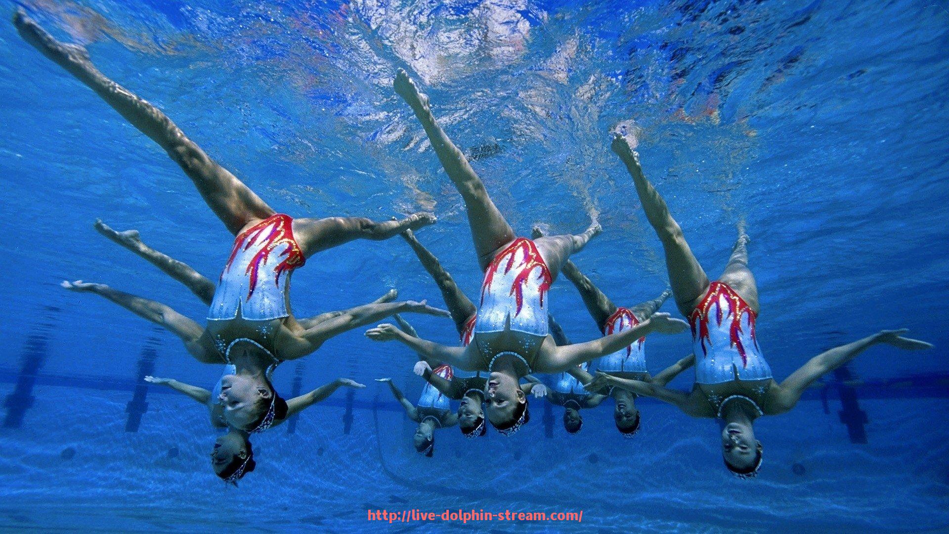 海豚直播-如何使用章鱼直播观看西甲精彩赛事?